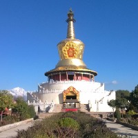 作者小头像