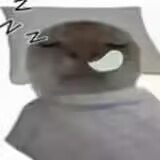作者小头像
